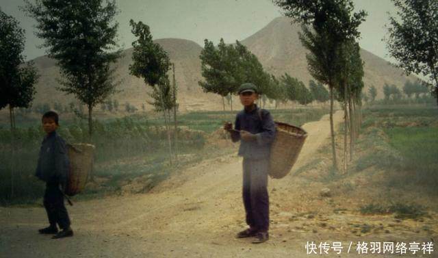 1973年珍贵照片图4你一定做过、图5已经没有图8让人怀念