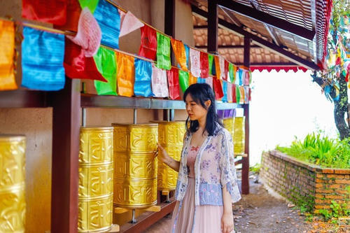 就着月光，伴着洱海，干了这瓶风花雪月，网友：小心喂鱼