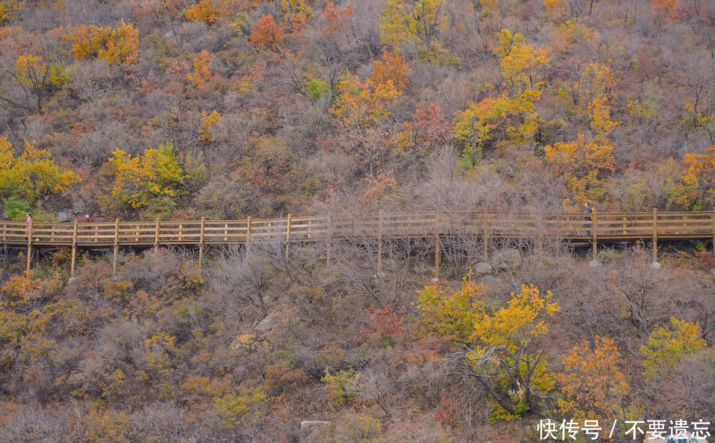  宁省朝阳市■国内最为常见的山名，有11座山峰重名，其中1个省份有5座山叫这名