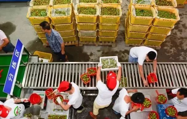 10大对农村未来的预言！