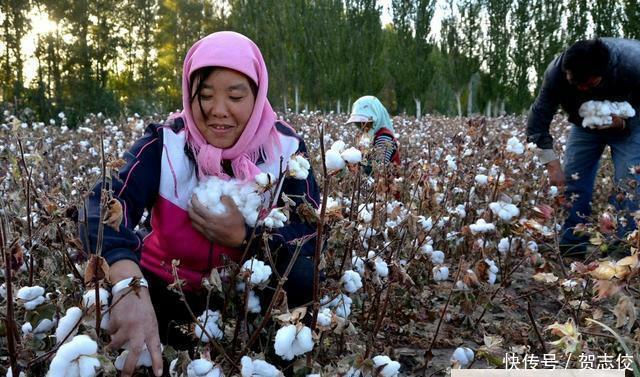 美国这招有点狠, 中国9亿农民也难接招