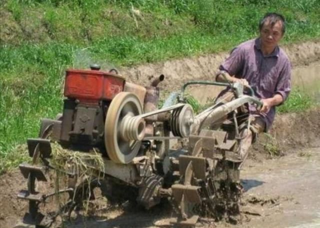  「牛肉」牛肉45元一斤，一头牛能赚2万块，为啥没人养殖