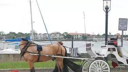 22张神奇的照片,一张都没有PS过,实在开眼了!