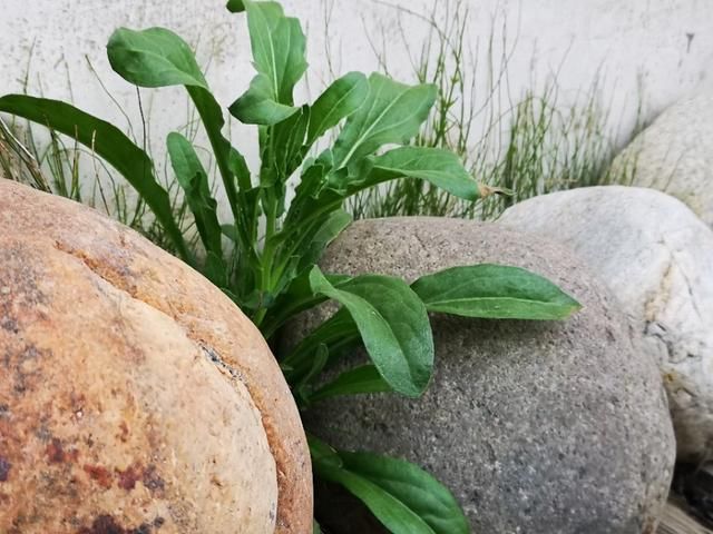 行走川藏线走西藏，看藏区家庭宾馆是啥样，内地人也应学习