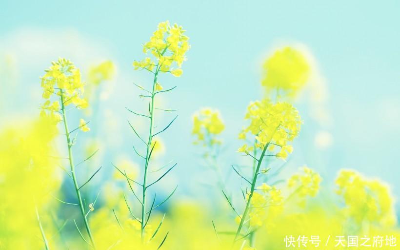 「示爱」喜欢用温馨小细节示爱的四大星座
