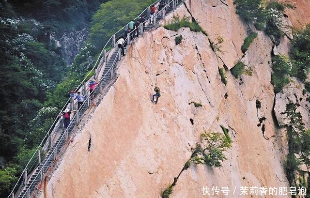 陕西生态旅游巡礼：送你一个万物生长的“生态华山”