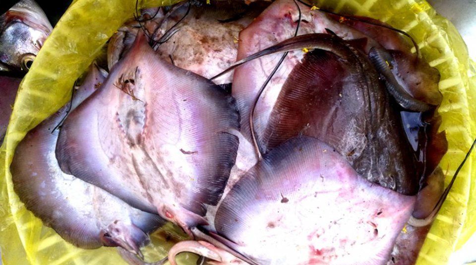 中秋节后菜市场海鲜价格腰斩，梭子蟹最高45，鲜活海鲜鱼价仍高