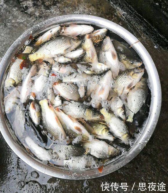 中国长江是否该禁钓鱼?禁渔期,仍有大量钓鱼人江边垂钓，鱼获惊人