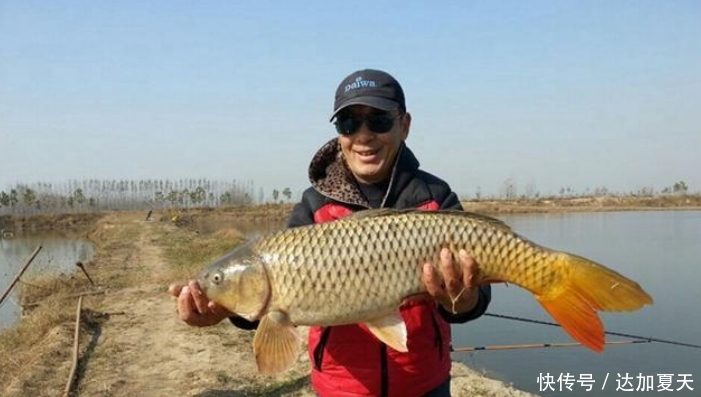 淡水鱼无法在海里生存,那黄河流入大海后,那些鱼都去哪了?