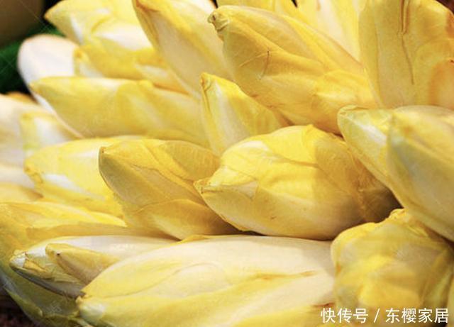  漂亮|夏天，在家种植1种“废根”，20天后变成“黄金菜”，比月季漂亮