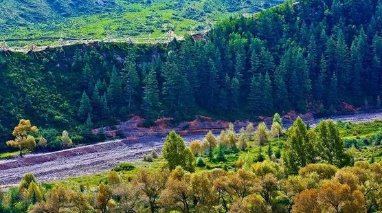 魅力祁连山之秋,藏族乡秋景迷人,色彩斑斓