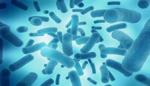  「折叠」艺术与科学结合！这些科学家异想天开，把蛋白质编成了“摇滚乐”