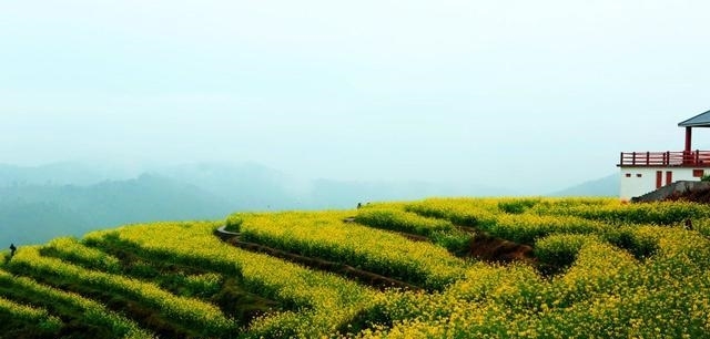  「深圳」广东最大的区，比汕头还大，相当于1个东莞，接近1.5个