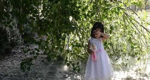  「果实」农村这种树的果实成熟了，可农民恨的“牙痒痒”