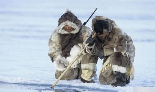 北极圈的“好客”民族,捕鱼打猎吃生肉,夜晚让妻子“招待”游客