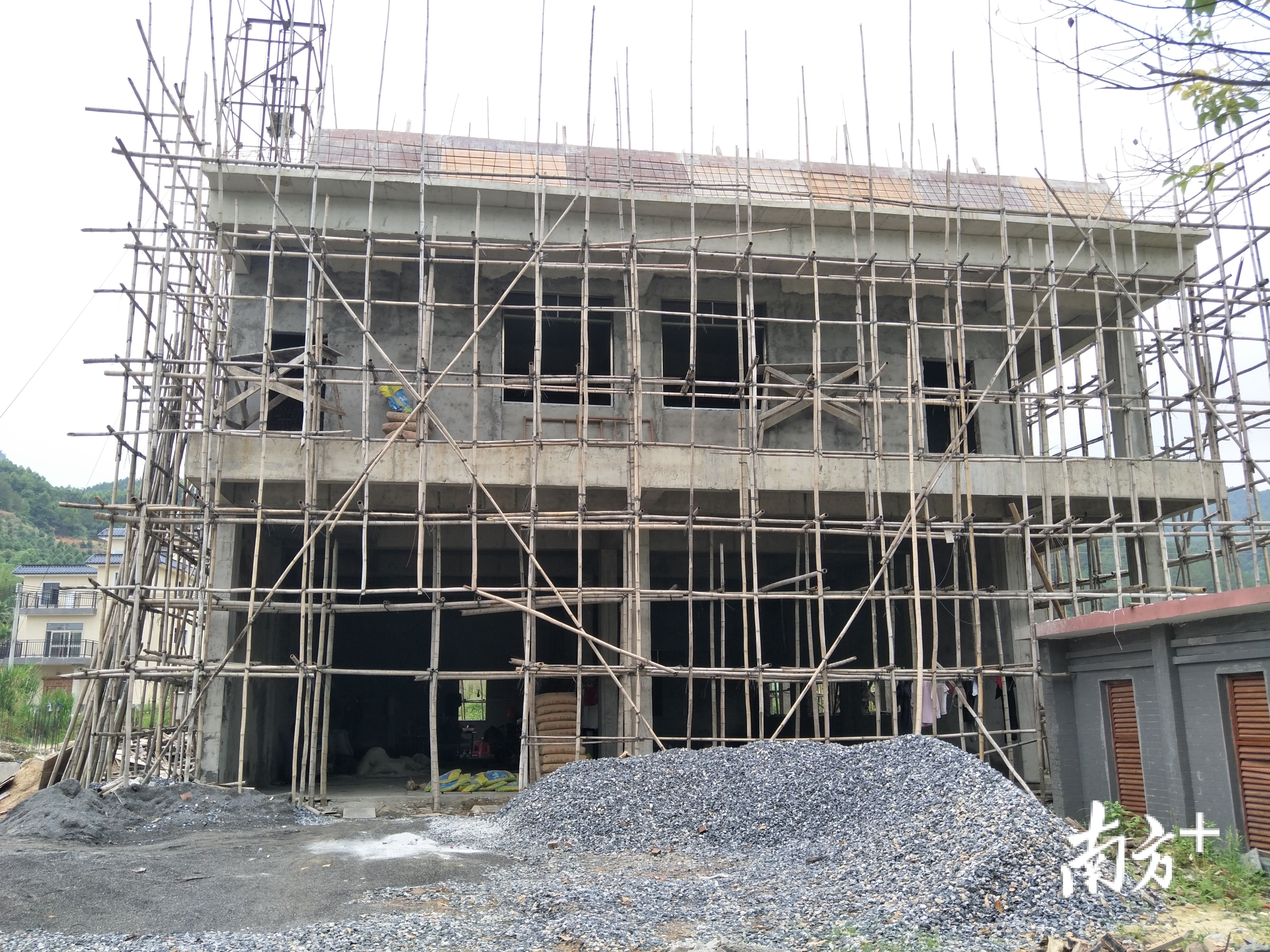  『扁豆和鹰嘴』脱贫后不返贫，翁源县青云村这样做！