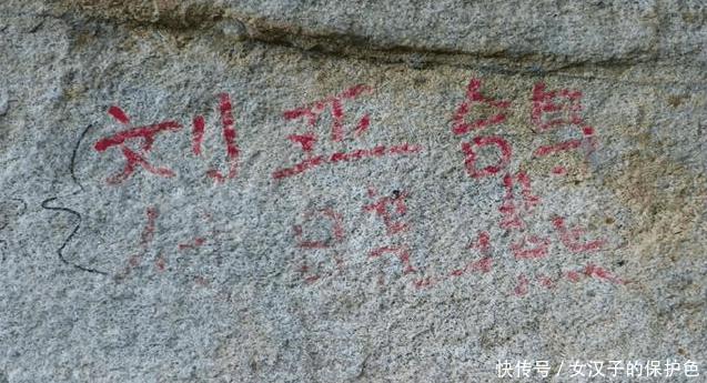 这个国家公民集体抗议中国游客? 知道真正原因后, 网友: 说的在理