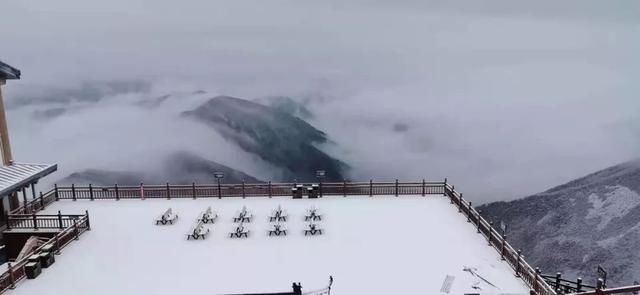 初冬已至，降温来袭 | 陕西这些地方已经下雪啦！想看雪景的走起