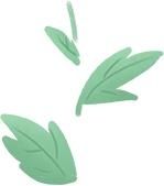 『雨生』雨生百谷,花开百福,陇西的油菜花开了……