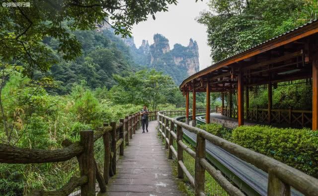 湖南张家界十里画廊，奇峰异石美如图画，是当地最会讲故事的景区