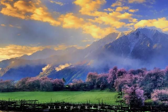 再过一个月，国内这处桃花盛景就要藏不住啦！囊括高原最美雪山！
