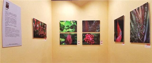 钱捍:摄影赛道奔跑40年 为三门峡摄影大展带来“绿色之风”