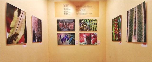 钱捍:摄影赛道奔跑40年 为三门峡摄影大展带来“绿色之风”