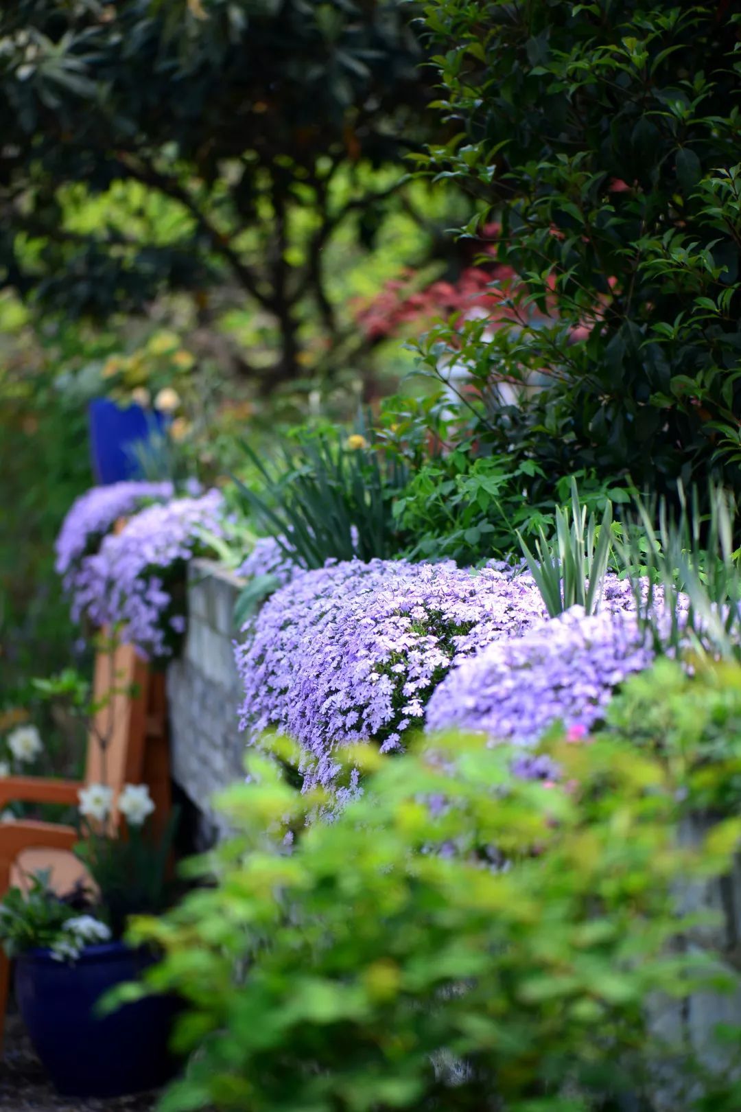40岁高薪夫妇提前退休，造3000㎡花园惬意养老，还有酒坊！