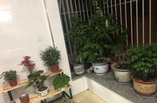 「设计」露天阳台大改造,简单的一设计,用来养花,这阳台朋友能羡慕死