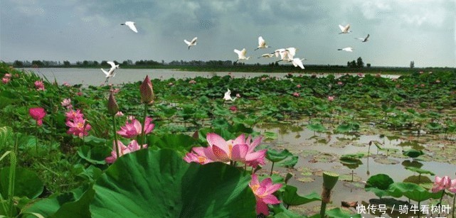 中国“最委屈”的湖泊,属于中国第四大淡水湖,知名度却低得可怜