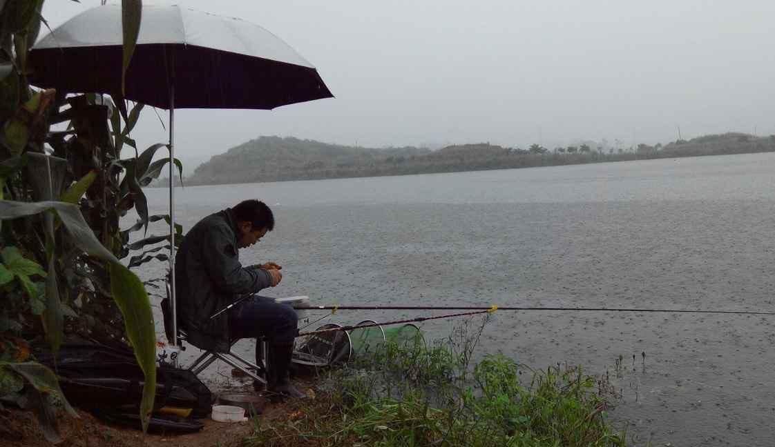  「对象鱼」暮春下雨爆护忙，鱼情贼好把杆杨，简单且渔获好的攻略分享