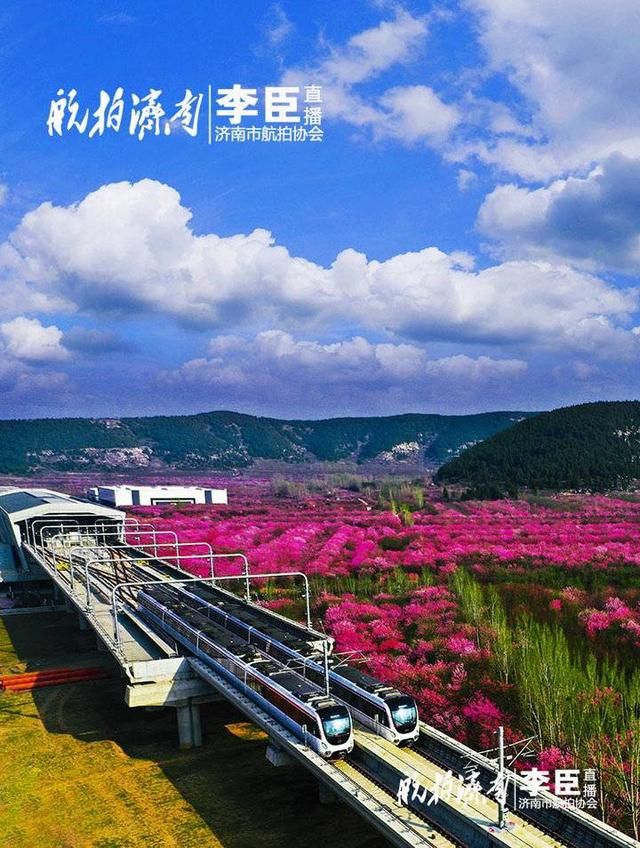  『济南』济南地铁 一个鲜花盛开的时节