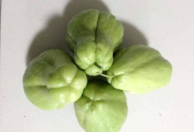  「花盆」阳台不养盆这个健康的瓜，真是可惜好花盆，现在正是栽种的时候！