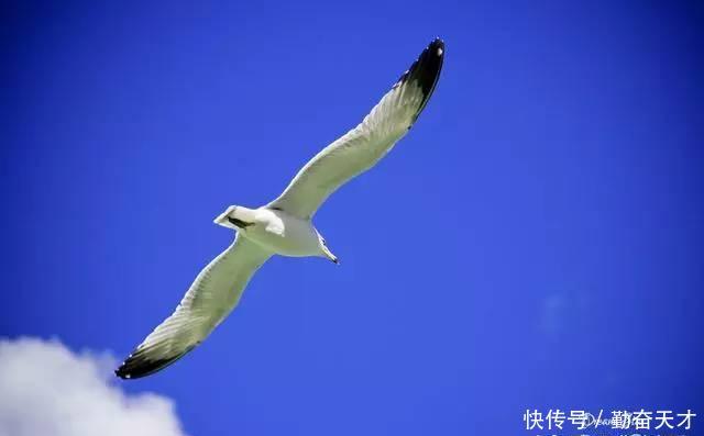 我们的一生，总要去拉萨看看