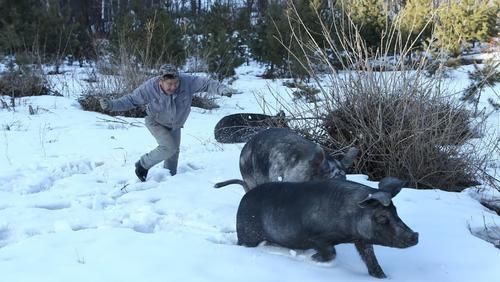  繁华都市■不恋繁华都市，45岁男子隐居深山养“稀罕物”，9年后