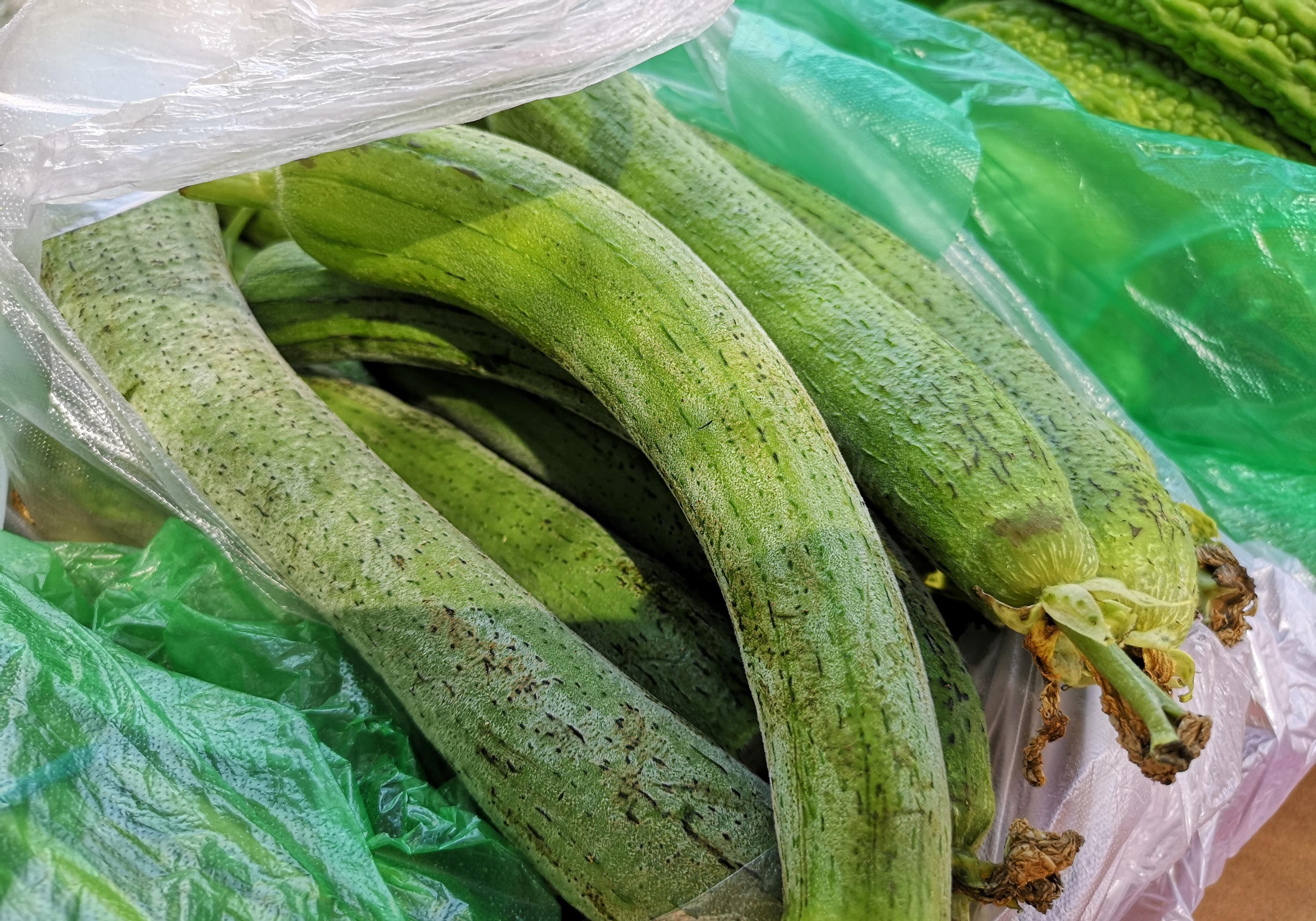 新疆菜市场有什么不同?转了一圈眼界大开，价格低到不想回广东
