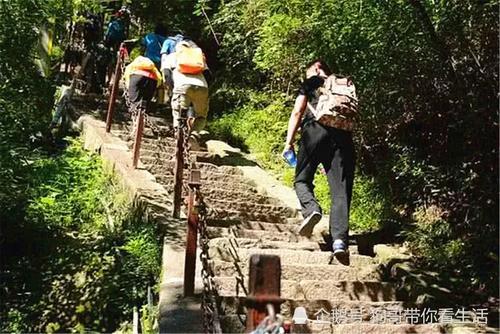 这个景区矿泉水一瓶十一元，游客却抢着买！知道真相沉默了