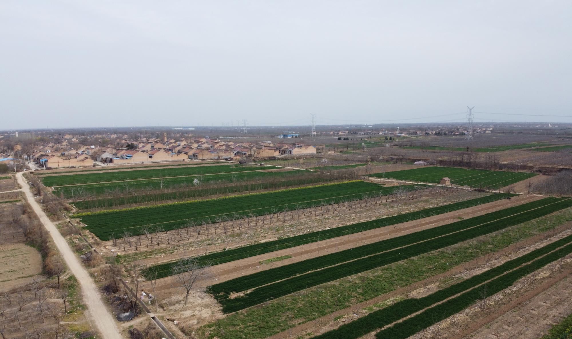  「孩子」农村人为什么不爱出门旅游？