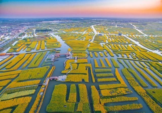 这几个地方景色太美还免费，网友大呼：辞职也要去看看