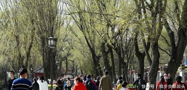  [春风]三月春风暖人间 踏青赏景正当时