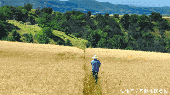 这部纪录片央视发力了,每一帧都可以当壁纸,BBC也无法超越