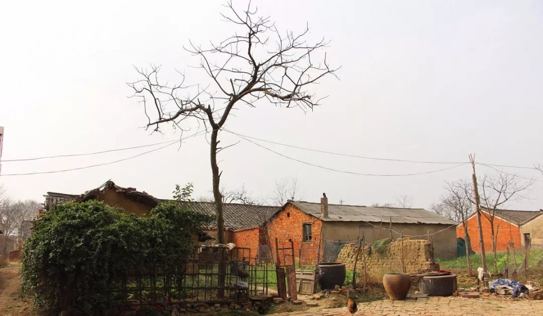 宅基地确权开始,只有这三类违建房不用拆除!