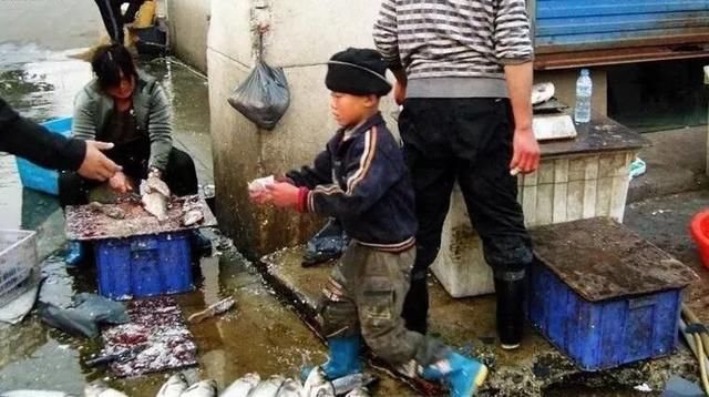 网红“杀鱼弟”喝农药自杀：当贫穷无药可救，谈道德是否太伪善