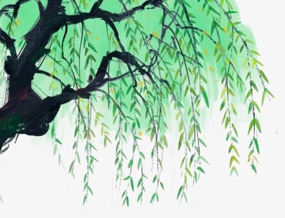 杨万里的这首诗太美,短短二十八字,便惊艳了整个!