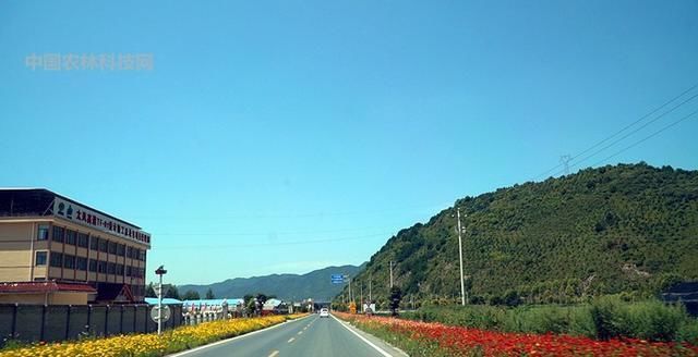 自驾游眉凤路到太白山以西第一高峰玉皇山，人少景美你一定要来哦