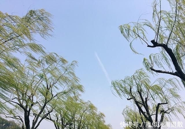  热带风暴：一场热带风暴威力有多大？杀死二十万人，百万人无家可归