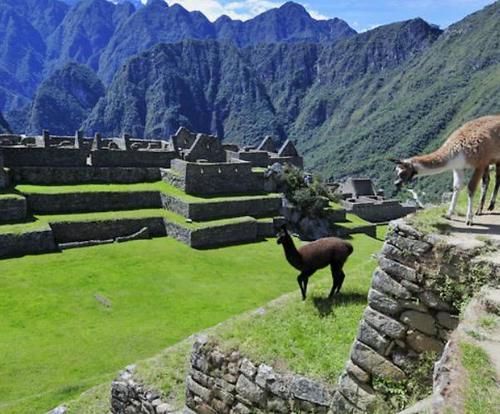 最刺激的酒店,透明玻璃挂在悬崖上高出地面120米,网友:我可不