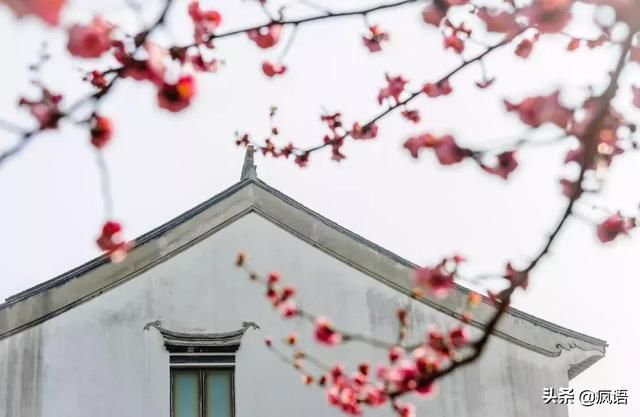 这几个地方景色太美还免费，网友大呼：辞职也要去看看