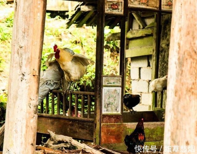 湖南的“空中田园”,建在千米山顶之上,四周都是万丈深渊