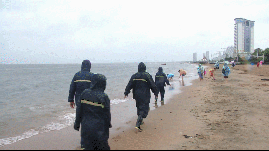“利奇马”北上！暴雨 11级大风！河北多趟列车停运、多个景区关